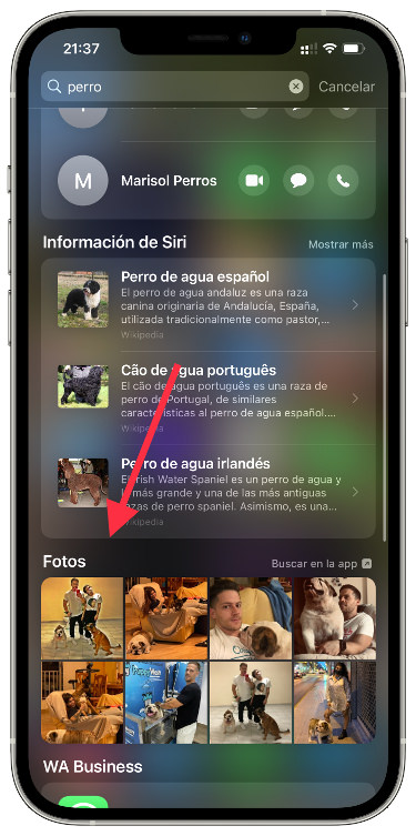 fotos en el spotlight 1
