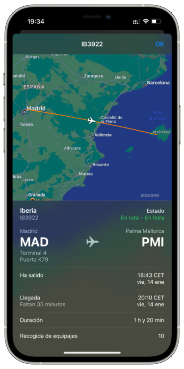 información de un vuelo 1