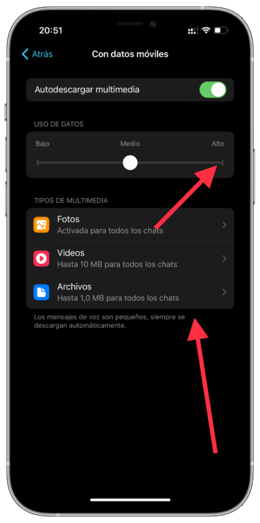 Configurar descargar cualquier archivo en Telegram 2