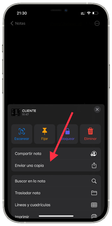 copia notas de iOS a PDF 1