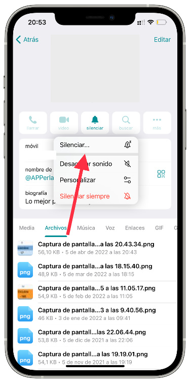 Silenciar notificaciones de Telegram 1