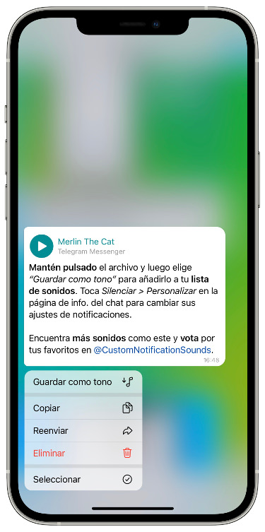 Guardar audio como tono 1