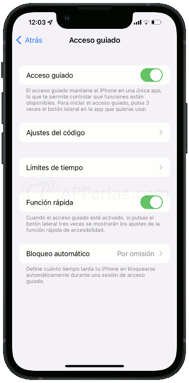 Activa y configura el Acceso guiado del iPhone Activa y configura el Acceso guiado del iPhone