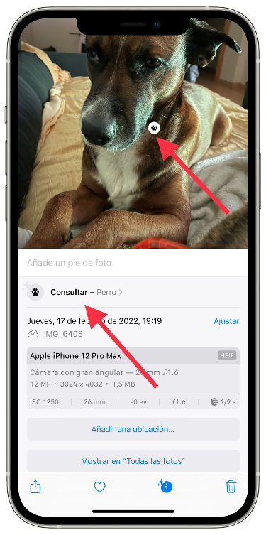 reconocer objetos con la cámara 2