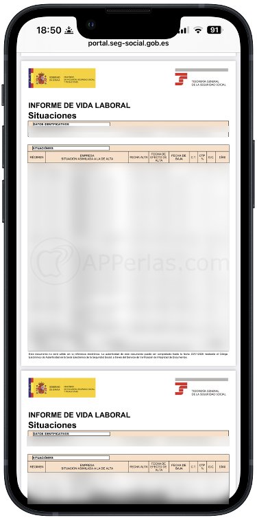 Informe de vida laboral en PDF Informe de vida laboral en PDF