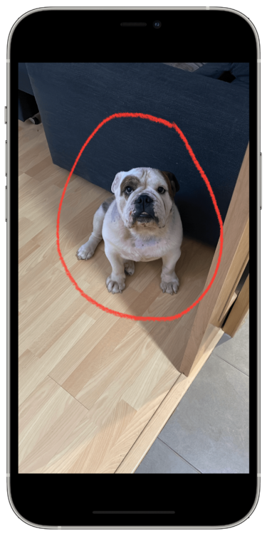 Circunferencia figuras perfectas 1