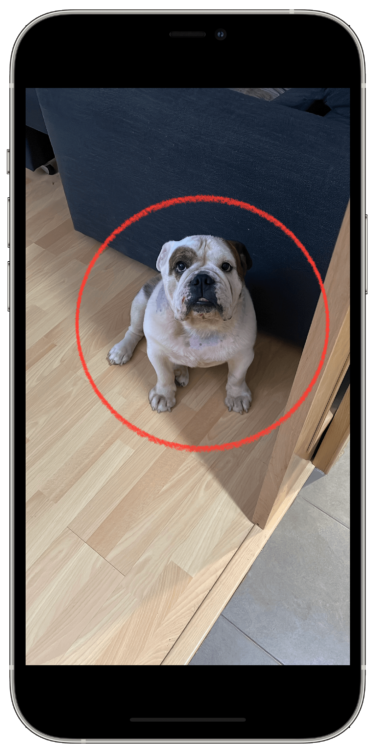 Circulo figuras perfectas 2