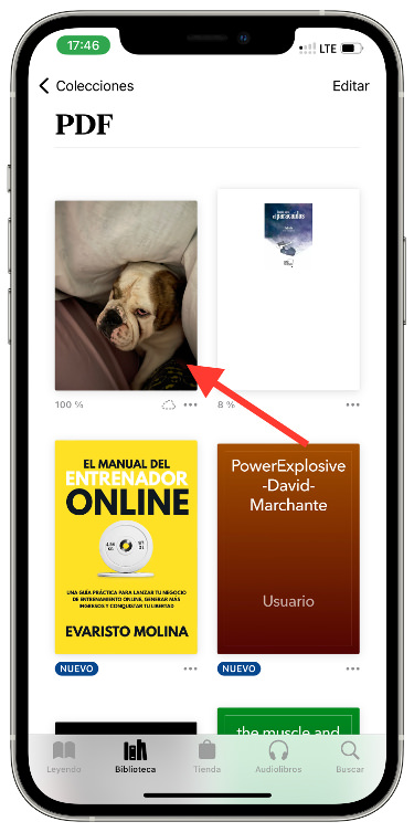 PDF foto en PDF 2