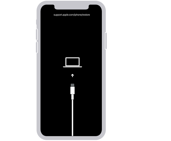 Restaurar iPad sin contraseña ID Apple con iTunes Restaurar iPad sin contraseña ID Apple con iTunes