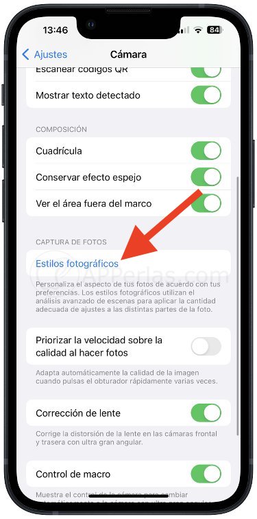 Opción de Estilos fotográficos Opción de Estilos fotográficos