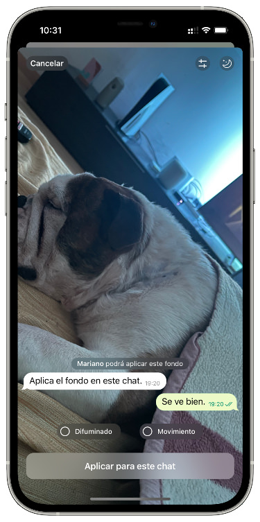 Personalizar fondo personalizado 2