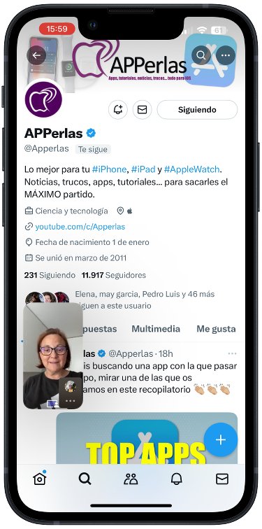 Cómo lo ves tu mientras compartes pantalla