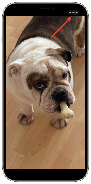 Recortar recortar una foto 1