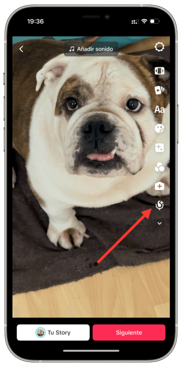 voz a un vídeo de TikTok voz a un vídeo de TikTok