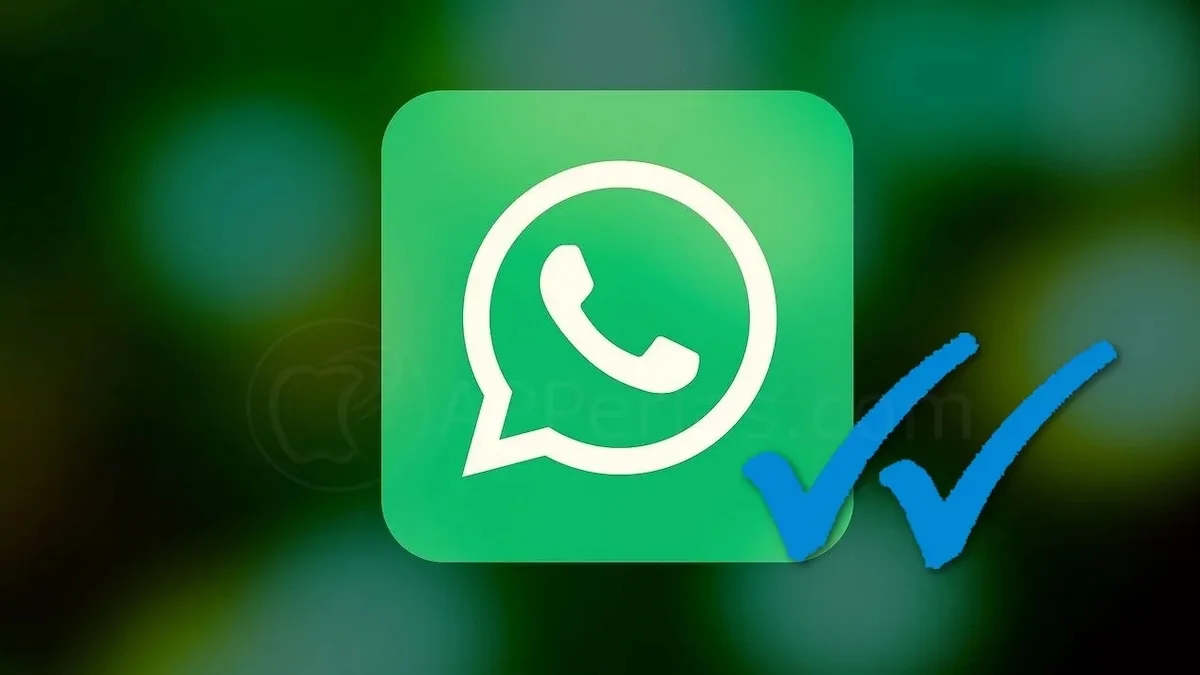 Checks de WhatsApp Checks de WhatsApp